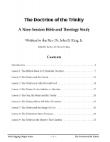 The Doctrine of the Trinity (Participant)